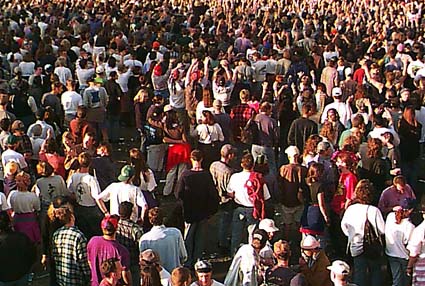 The Crowd 1